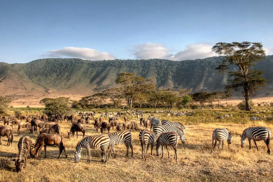 Tanzania
