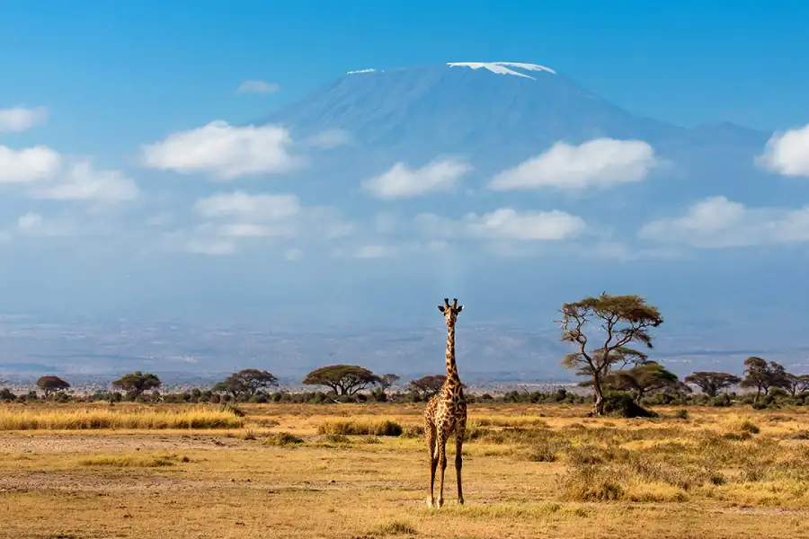 Kenya